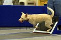 IMG_1354