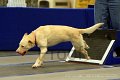IMG_1355