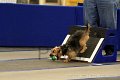 IMG_1357