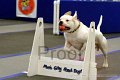 IMG_1364