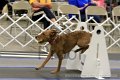 IMG_1372