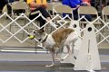 IMG_1376