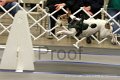 IMG_1383