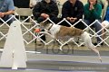 IMG_1389
