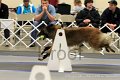 IMG_1399
