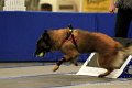 IMG_1414