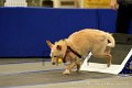 IMG_1415