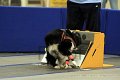 IMG_1425