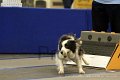 IMG_1428