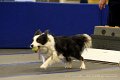IMG_1429