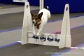 IMG_1432