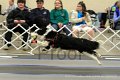 IMG_1440