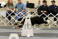 IMG_1441