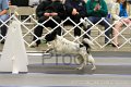 IMG_1449