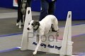 IMG_1453
