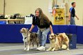IMG_1454