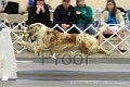 IMG_1470