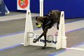 IMG_1477