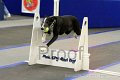 IMG_1479