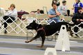 IMG_1484