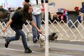 IMG_1487