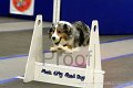 IMG_1505