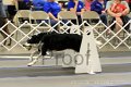 IMG_1511