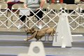 IMG_1521