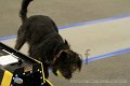 IMG_1557