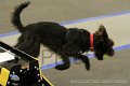 IMG_1558