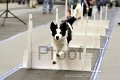 IMG_1561