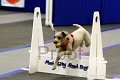 IMG_1567
