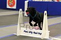 IMG_1576