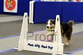 IMG_1584