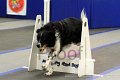 IMG_1586