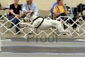 IMG_1602