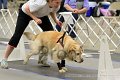 IMG_1611