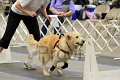 IMG_1612
