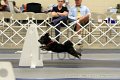 IMG_1623