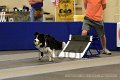 IMG_1627