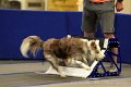 IMG_1630