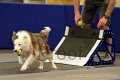 IMG_1632