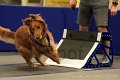 IMG_1634