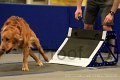 IMG_1635