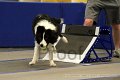 IMG_1642
