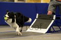 IMG_1643