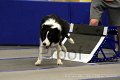 IMG_1654