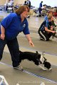 IMG_1659