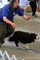 IMG_1661
