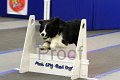 IMG_1667
